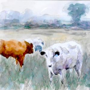 Wil Harvey Blyth Valley Cows. Watercolour sketch.