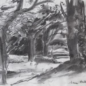Jennifer Hall Melton. Under the trees Melton. Drawing Charcoal
