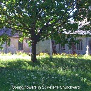 Spring-flowers-in-Churchyard1.jpg