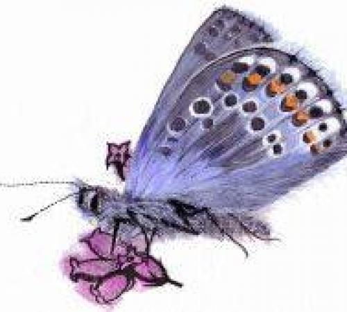 Wenhaston Commons Group AGM - Tuesday 20th October 19:00 - 21:00