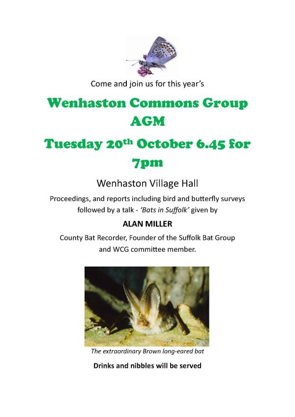 2026 WCG AGM poster